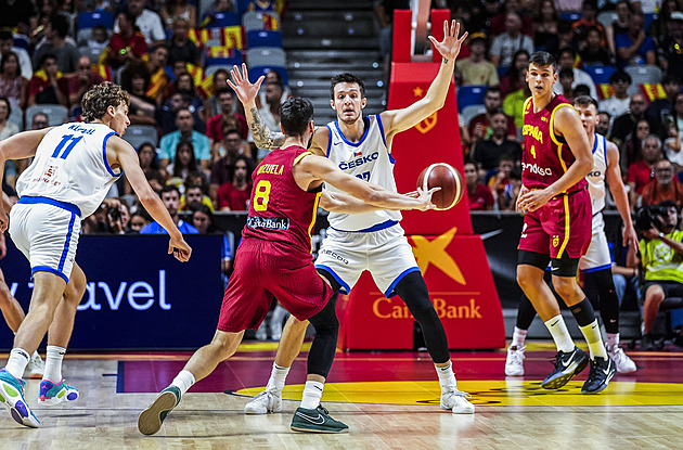 Gruzie v Pardubicích - a pak už Evropa. Češi touží završit přípravu vítězně