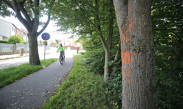 Větve padající na stezku jsou nebezpečné, upozornila žena. Modlete se, řekl jí úředník