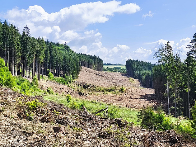 Polská D8 směřuje k českým hranicím. Chystá se napojení na D35
