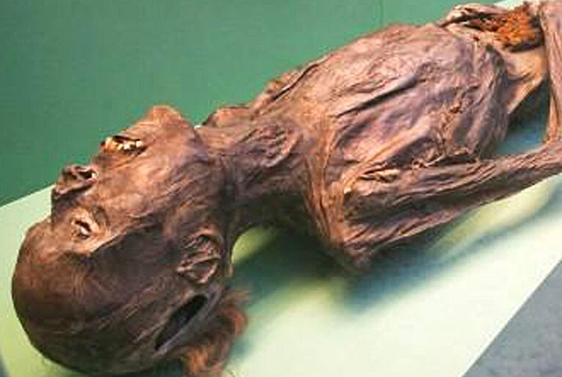 Inspirujte se. Věda odhalila skvostné tetování mumie skytské nomádky