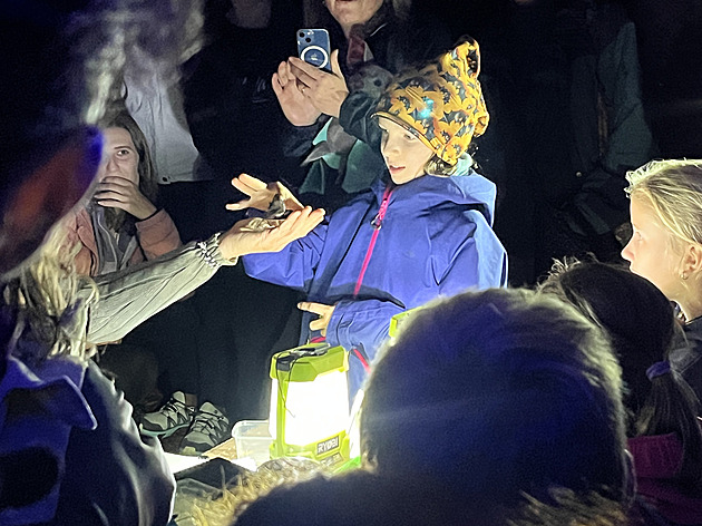 Dva kilometry lesem s baterkou. Noc v horách boří pověry a mýty o netopýrech