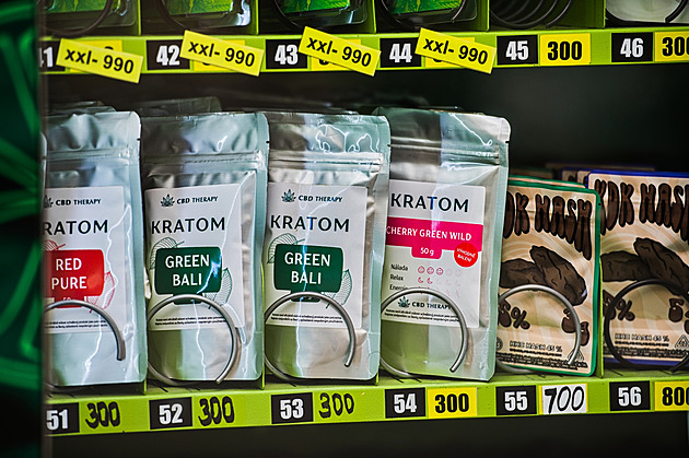 Kratom může vyvolat epileptické záchvaty, varují lékaři