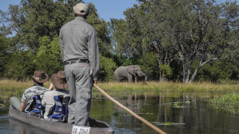Zuřící slon převracel na safari v Botswaně kánoe, ukazují záběry. Turistku udeřil chobotem