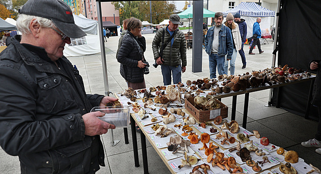 Na posledních farmářských trzích vystavil mykolog i houbařskou žeň