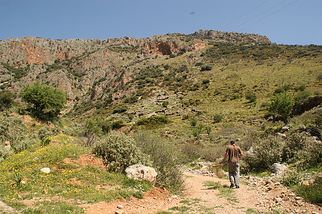 Středomoří zažívá ochlazení, protože mu mizejí pastviny, zjistili čeští vědci