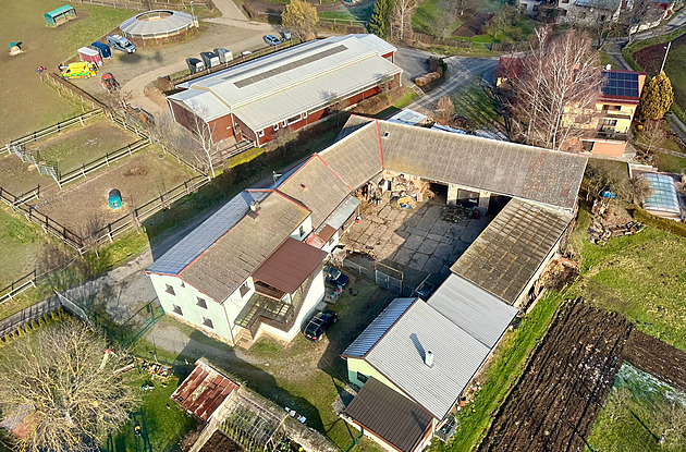 Na farmě kopl kůň ženu do hlavy, lékař měl podezření na poranění mozku