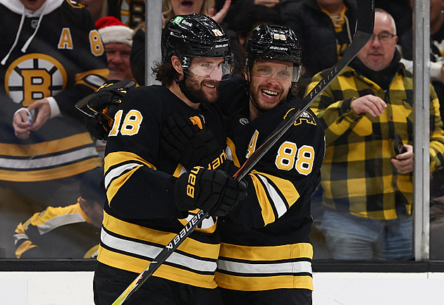 Zacha byl jediným střelcem Bostonu, Dobeš vychytal výhru nad Chicagem