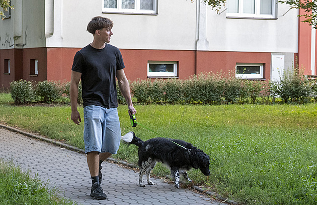 V centru Zlína chybí místa k venčení psů. Město upraví loučku u podjezdu