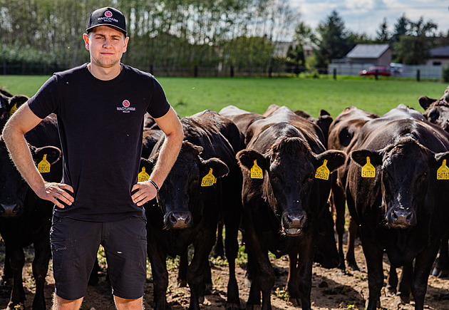 Přilneme, ale jména jim nedáváme. Farmáři z Pardubicka mají unikátní chov wagyu